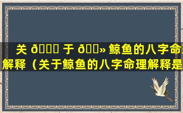 关 🐛 于 🌻 鲸鱼的八字命理解释（关于鲸鱼的八字命理解释是什么）